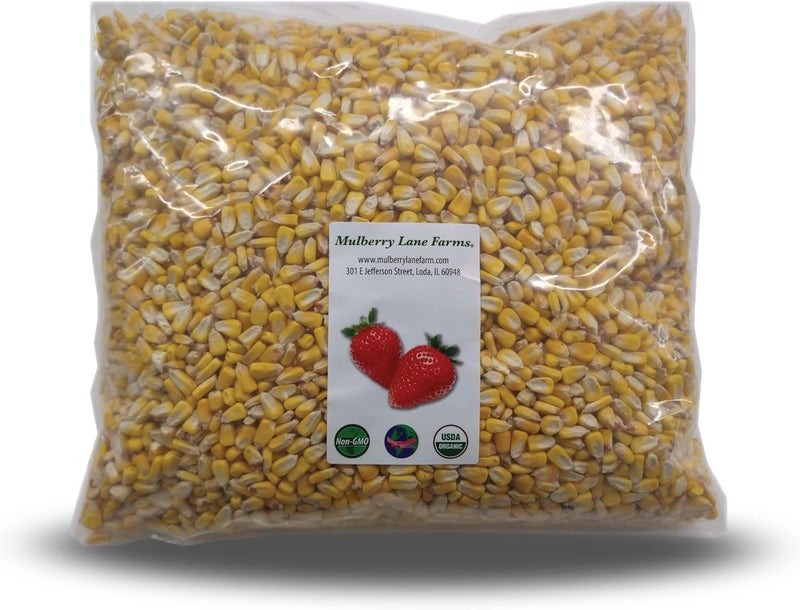 Mulberry Lane Farms Whole Yellow Corn 5 Pounds, USDA Certified Organic, Non-GMO, Product of USA - Image 1